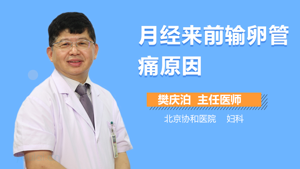 月经来前输卵管痛原因