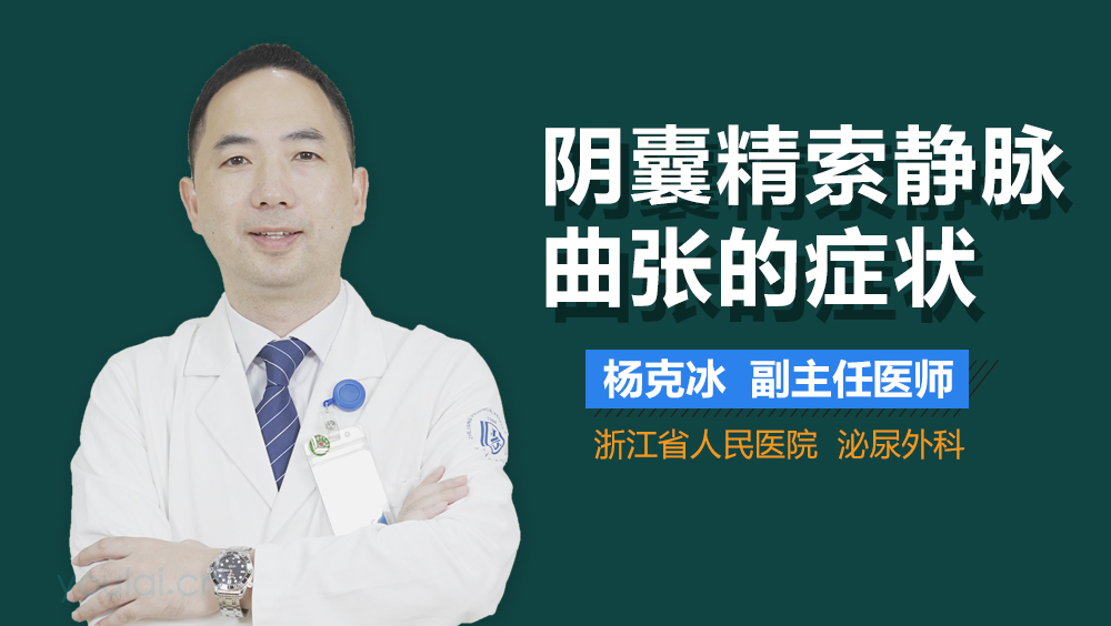 阴囊精索静脉曲张的症状