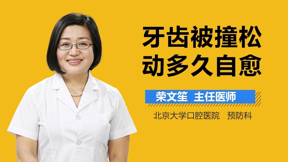 牙齿被撞松动多久自愈