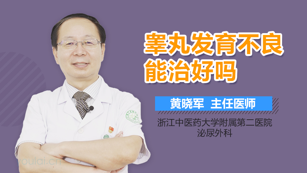 睾丸发育不良能治好吗