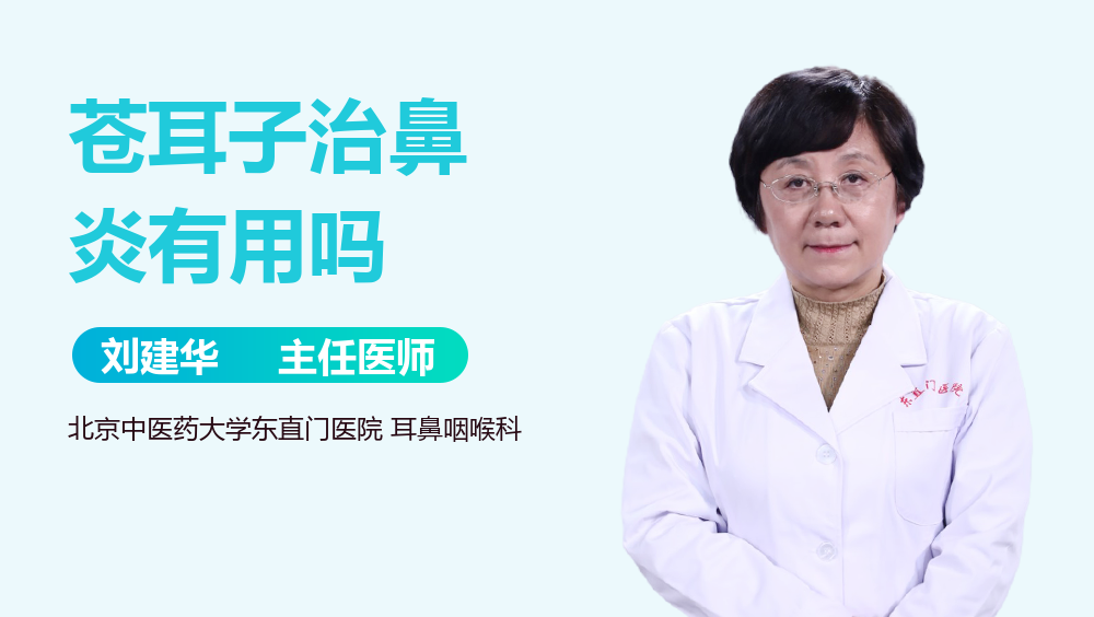 苍耳子治鼻炎有用吗