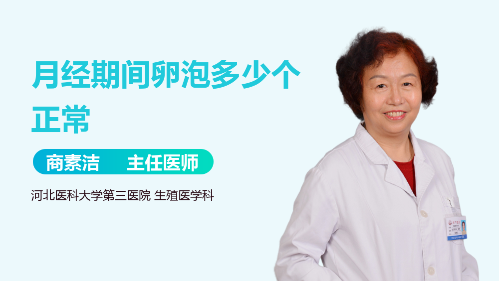 月经期间卵泡多少个正常