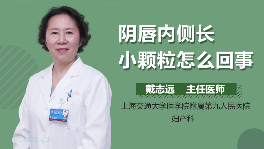 阴唇内侧长小颗粒怎么回事