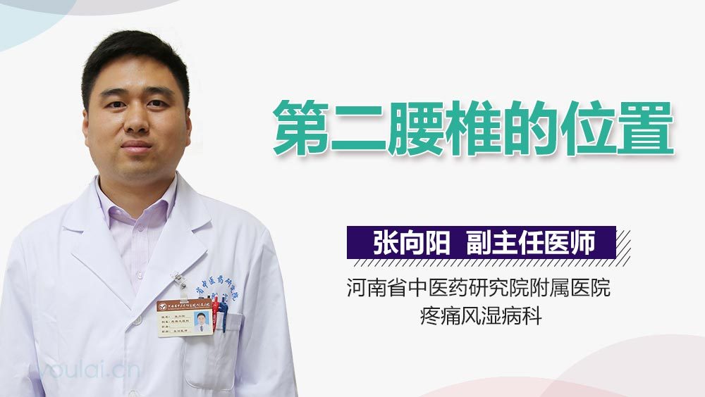 第二腰椎的位置