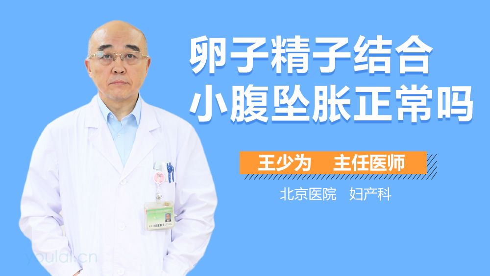卵子精子结合小腹坠胀正常吗