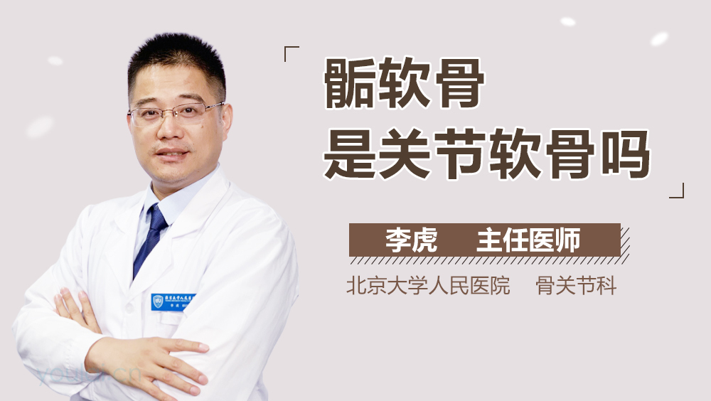 骺软骨是关节软骨吗