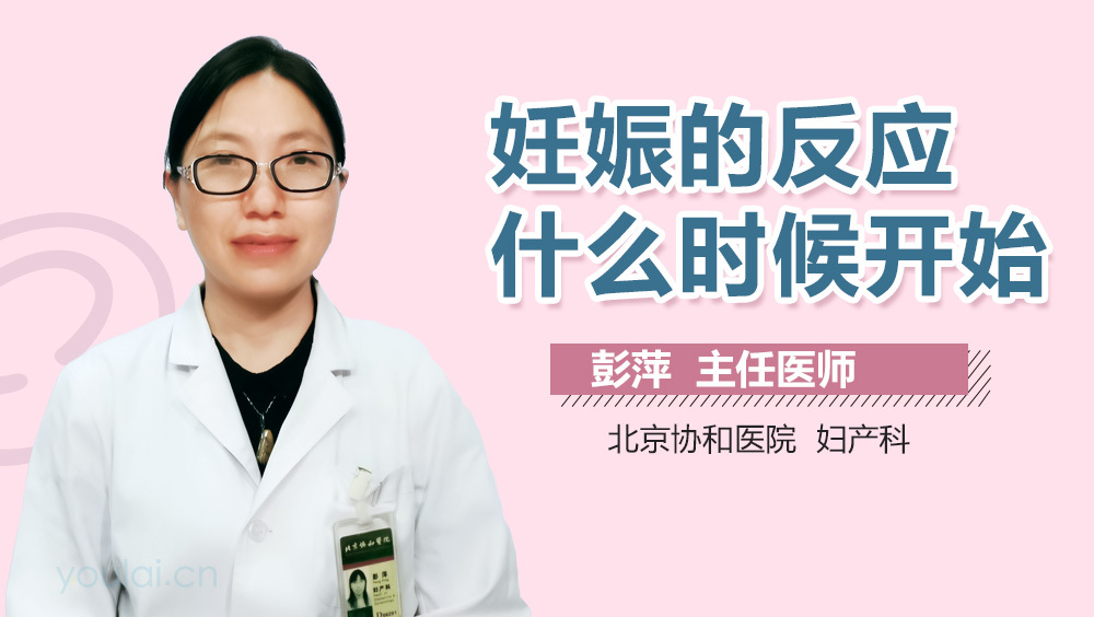 妊娠的反应什么时候开始