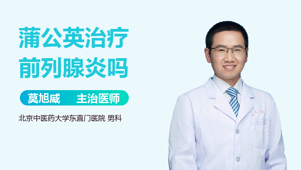 蒲公英治疗前列腺炎吗