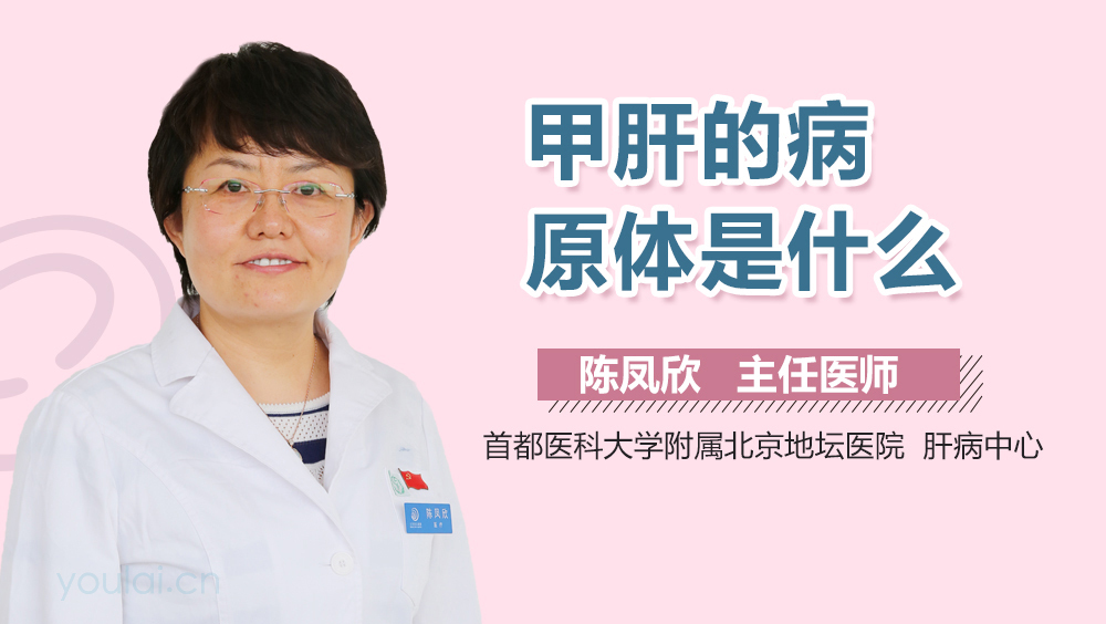 甲肝的病原体是什么