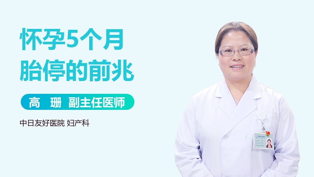 怀孕5个月胎停的前兆