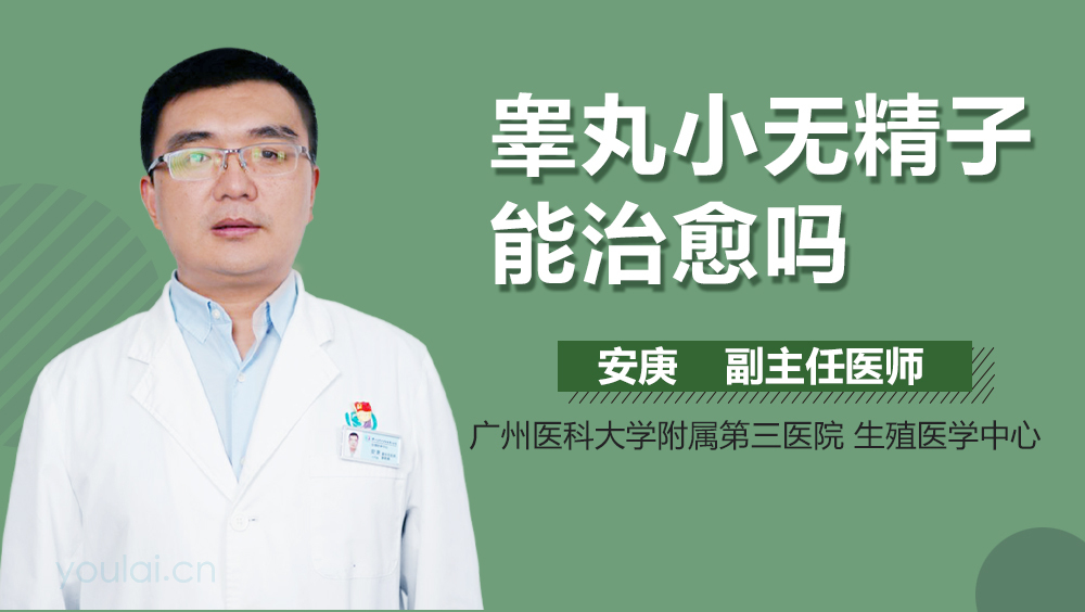 睾丸小无精子能治愈吗
