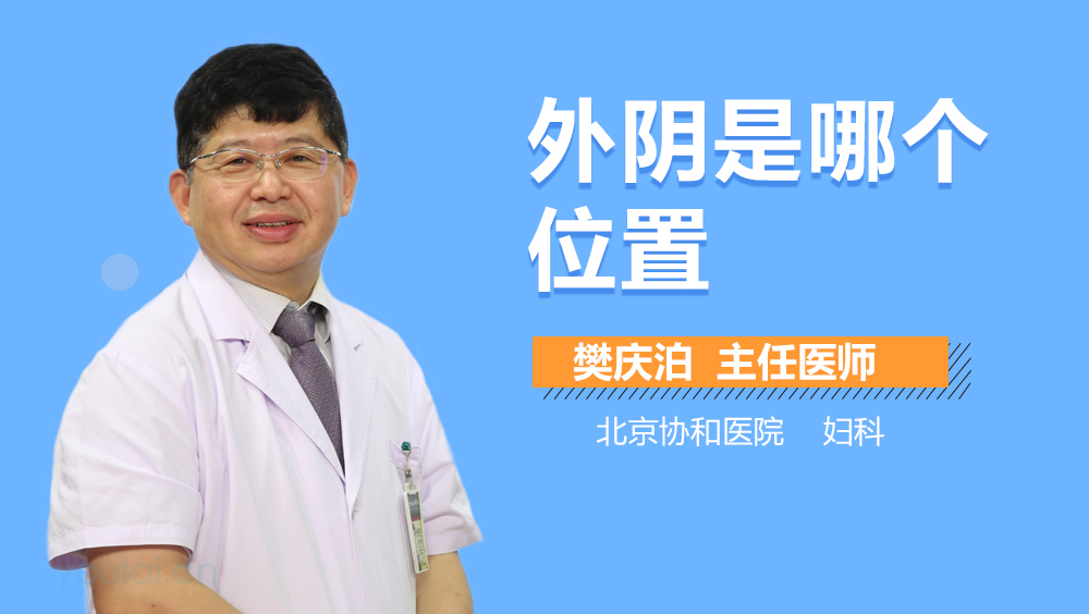 外阴是哪个位置