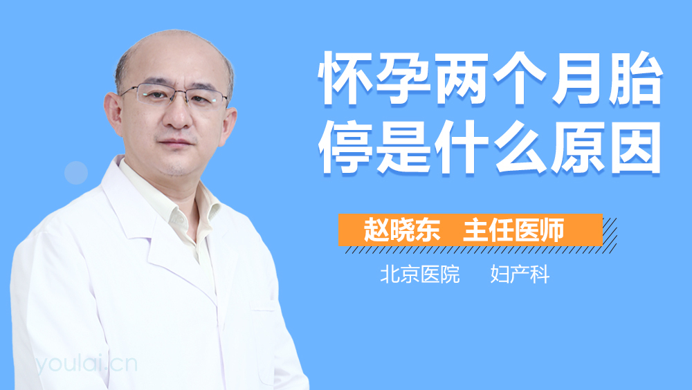 怀孕两个月胎停是什么原因