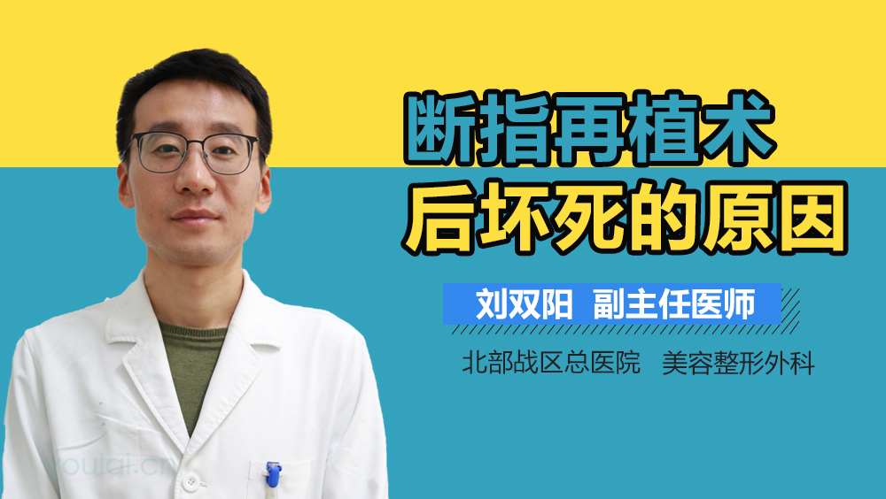 断指再植术后坏死的原因