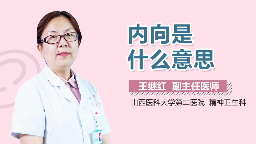 内向是什么意思