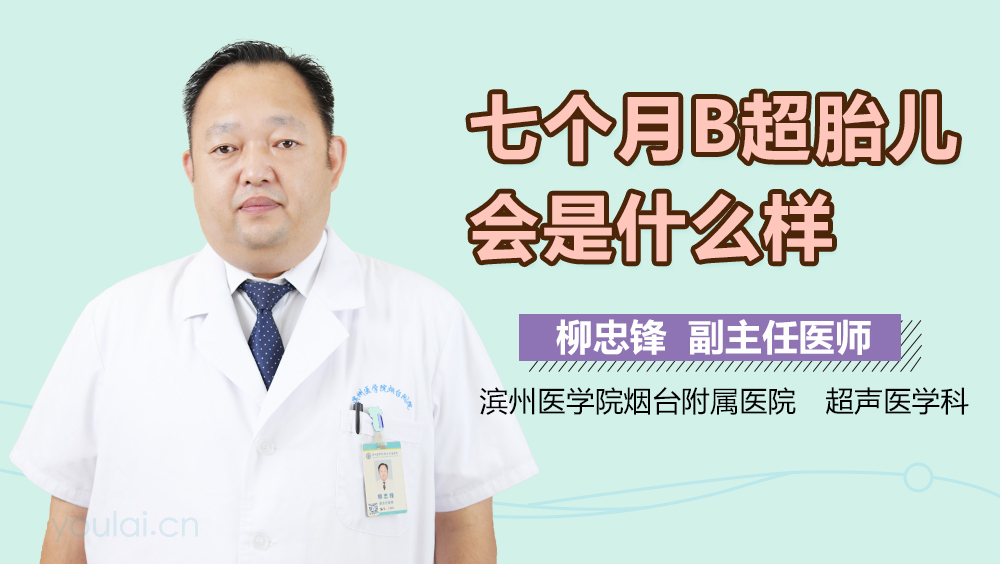 七个月B超胎儿会是什么样