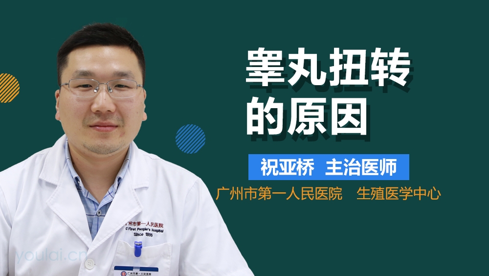 睾丸扭转的原因
