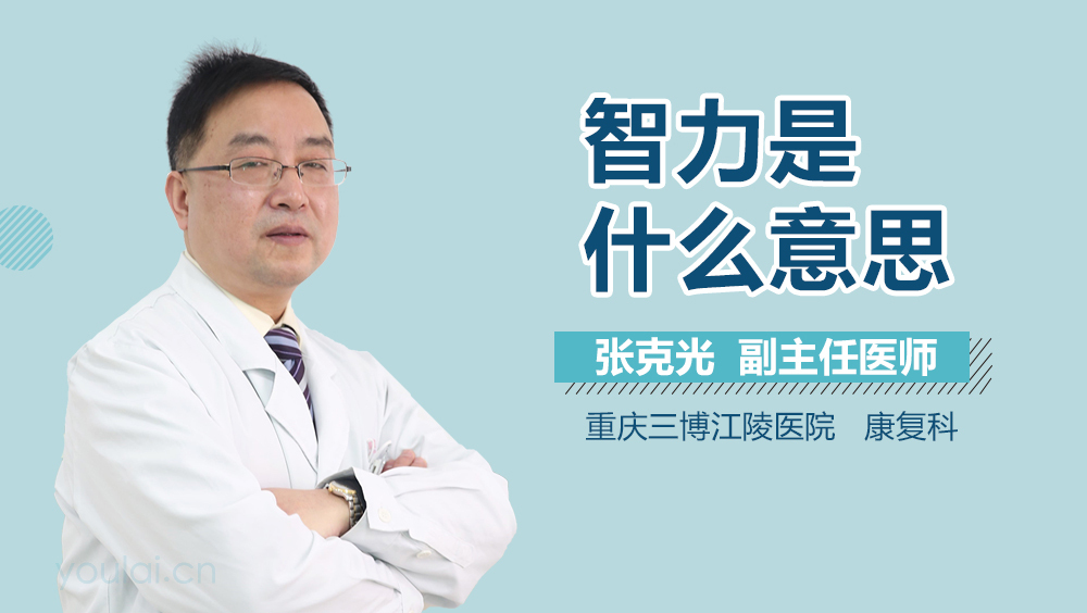 智力是什么意思