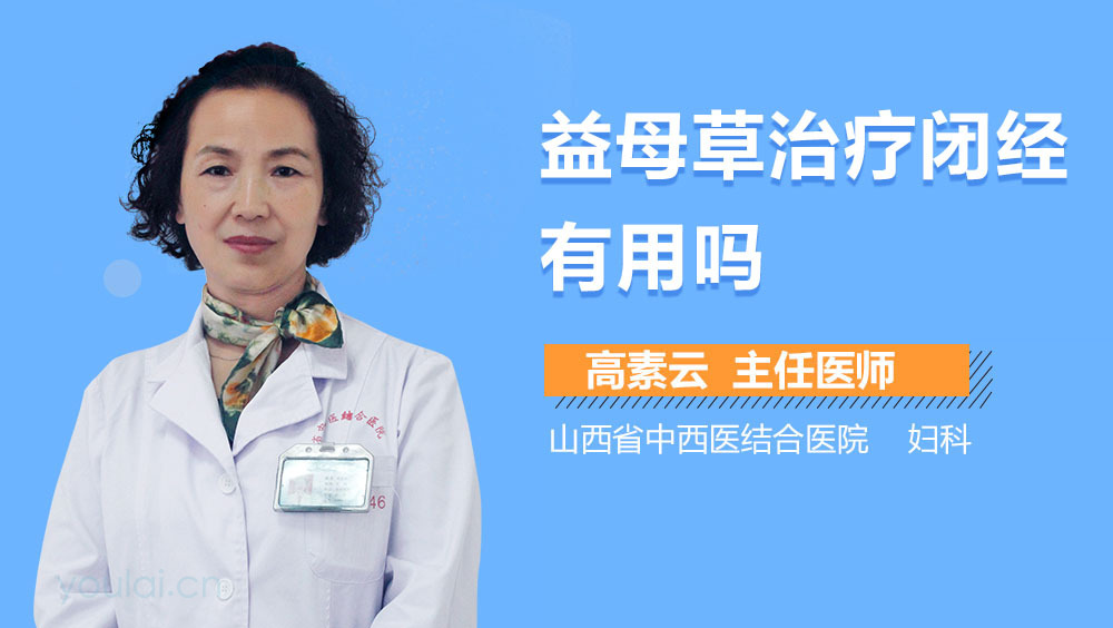 益母草治疗闭经有用吗