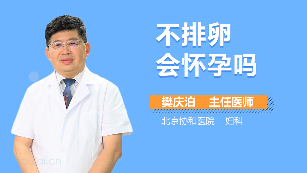 不排卵会怀孕吗