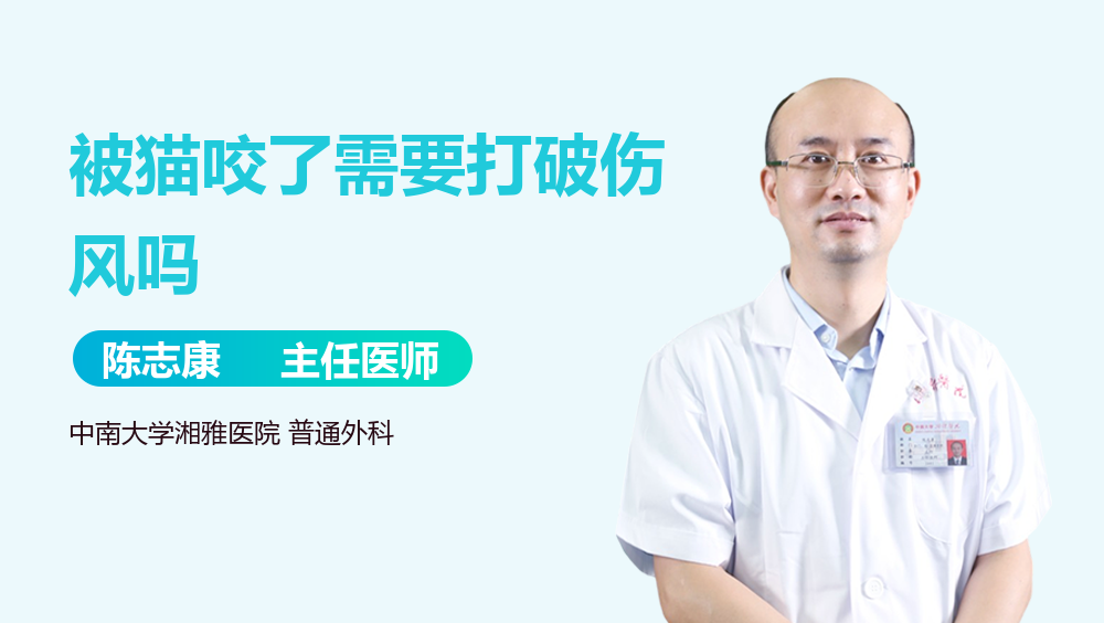 被猫咬了需要打破伤风吗