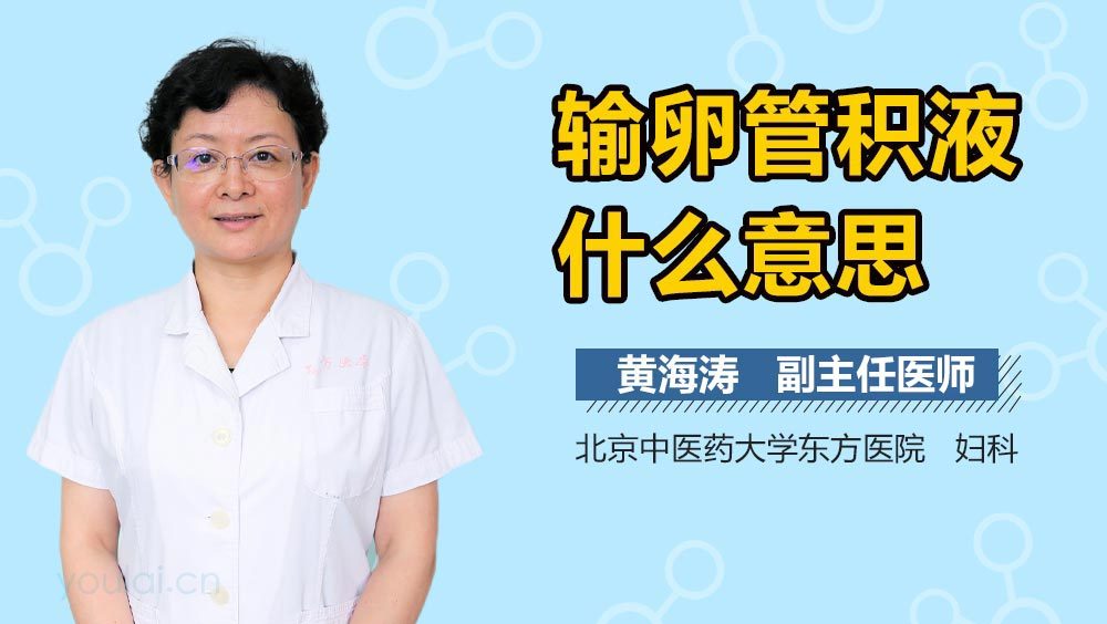 输卵管积液什么意思