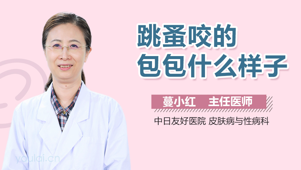 跳蚤咬的包包什么样子