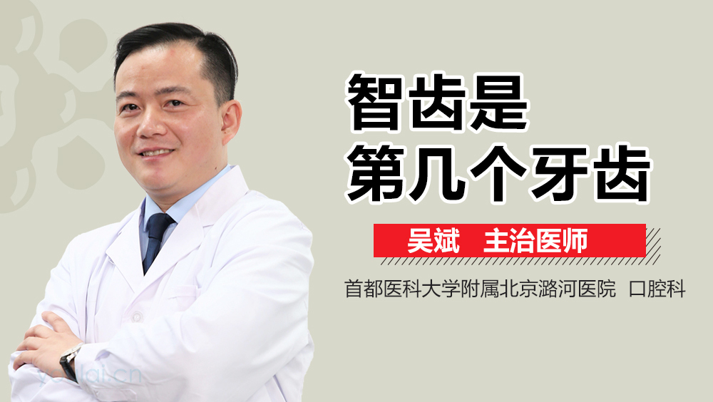 智齿是第几个牙齿