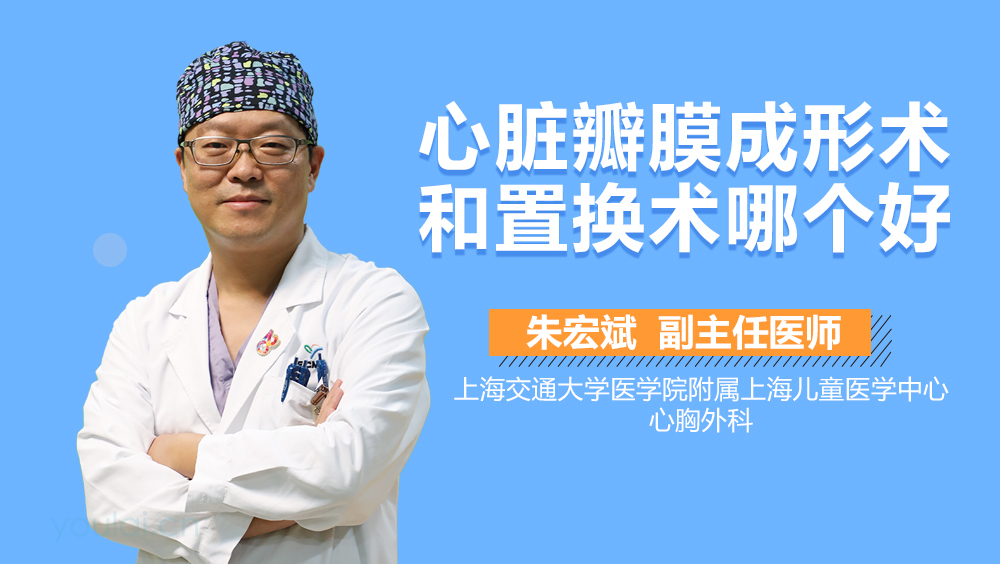心脏瓣膜成形术和置换术哪个好