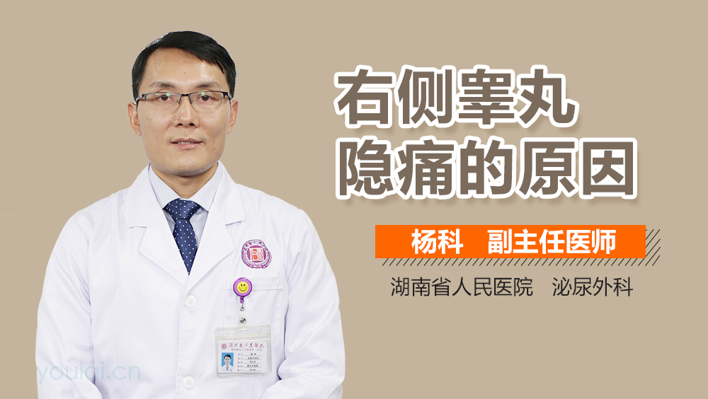 右侧睾丸隐痛的原因