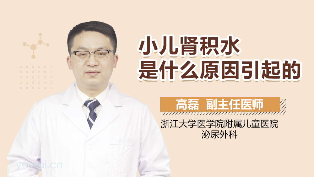 小儿肾积水是什么原因引起的
