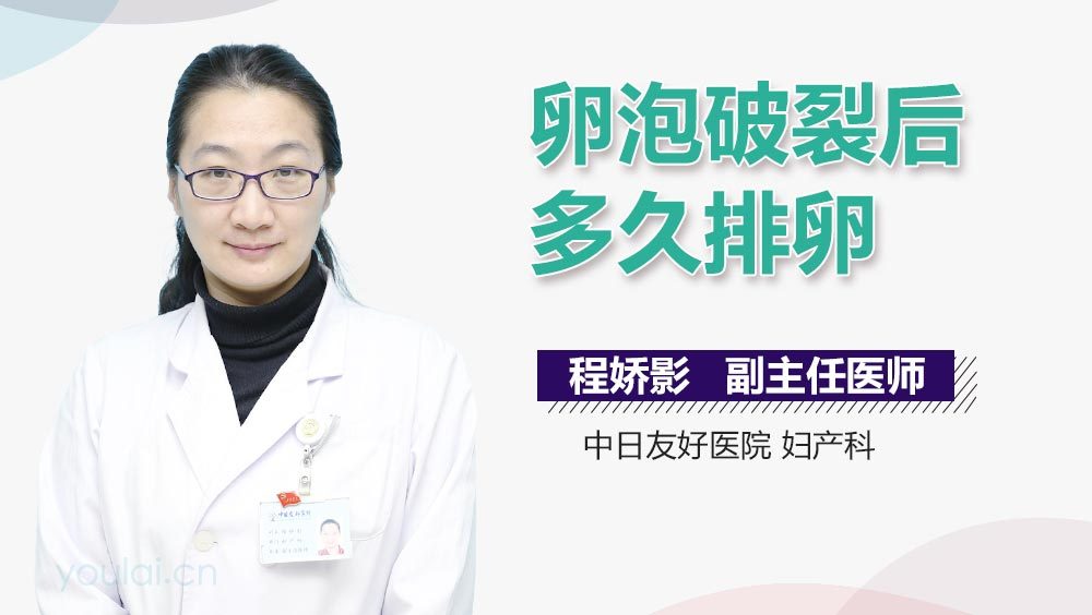 卵泡破裂后多久排卵