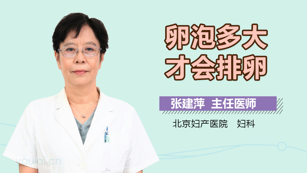 卵泡多大才会排卵