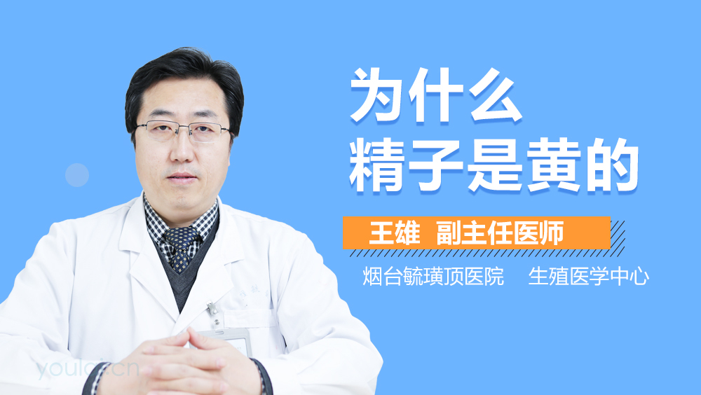 为什么精子是黄的