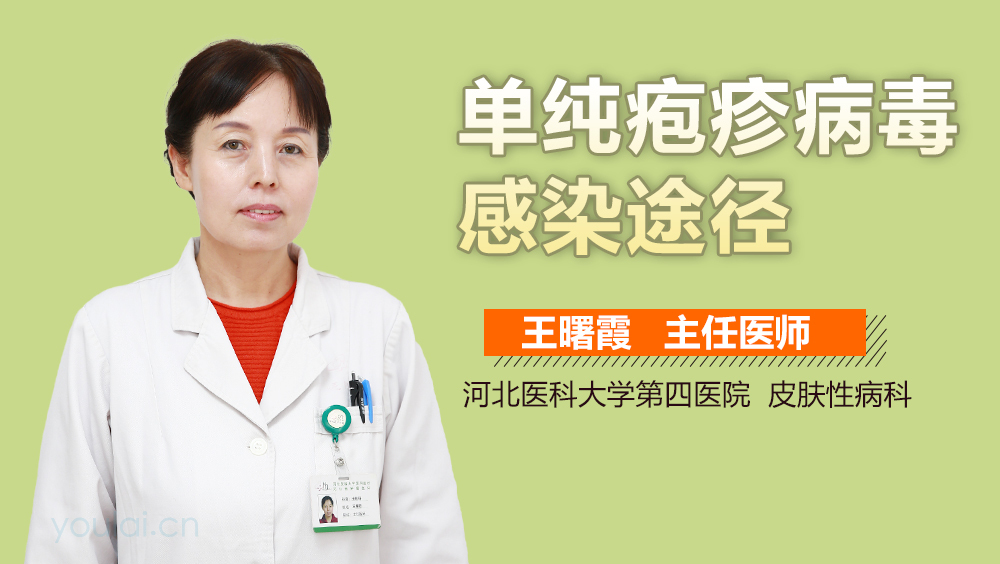 单纯疱疹病毒感染途径