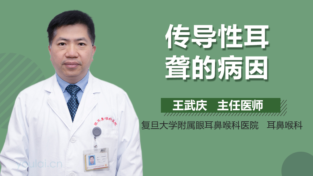 传导性耳聋的病因