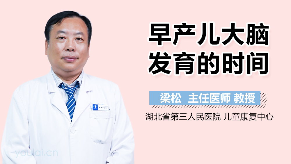 早产儿大脑发育的时间