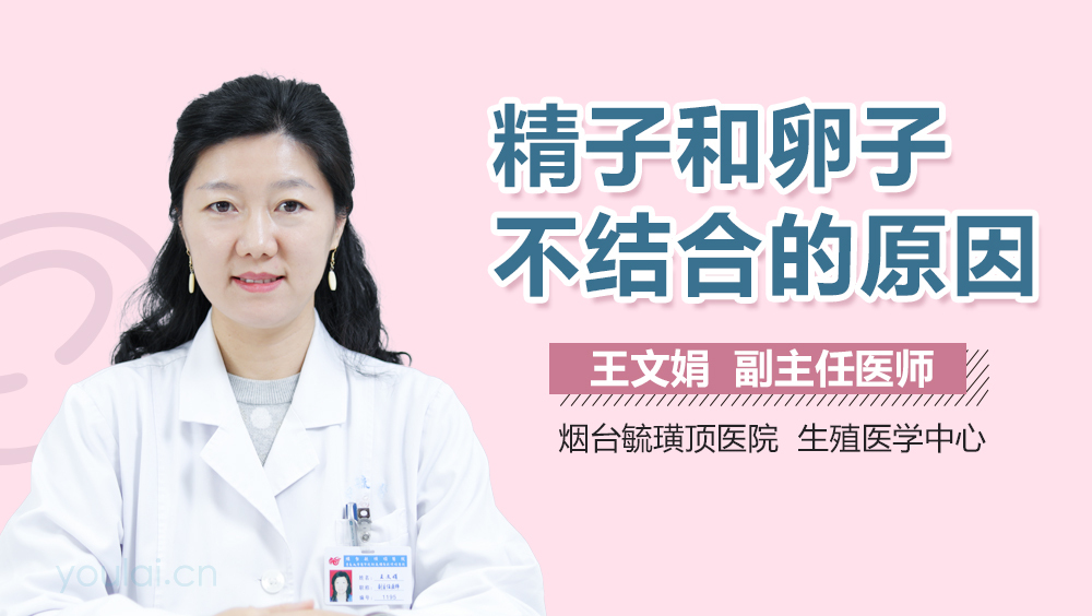 精子和卵子不结合的原因