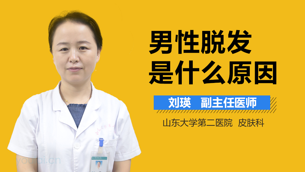 男性脱发是什么原因