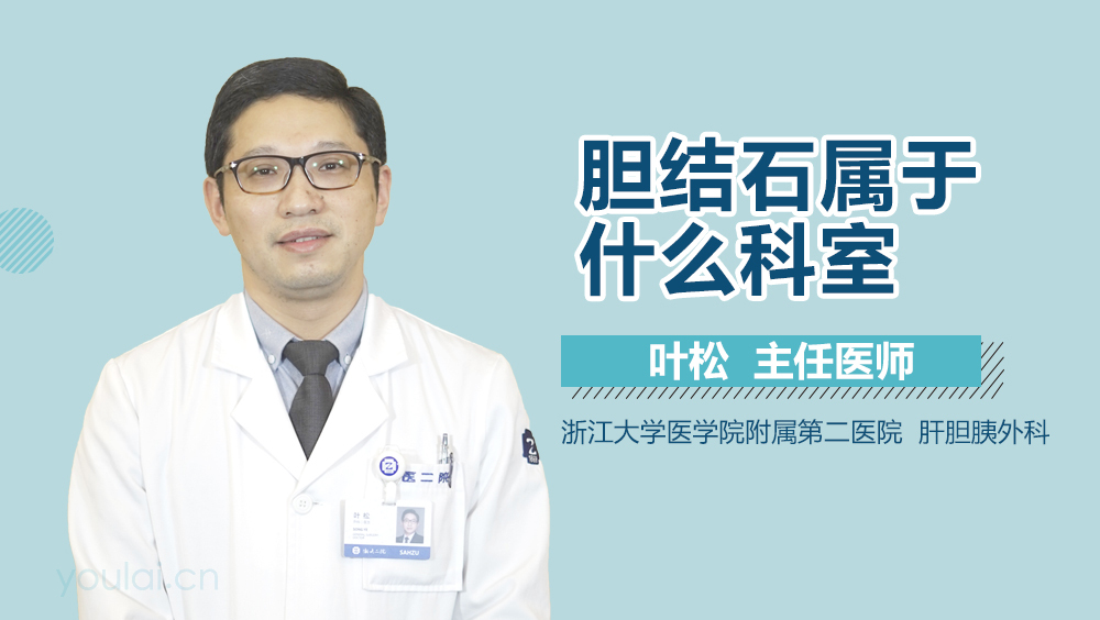 胆结石属于什么科室