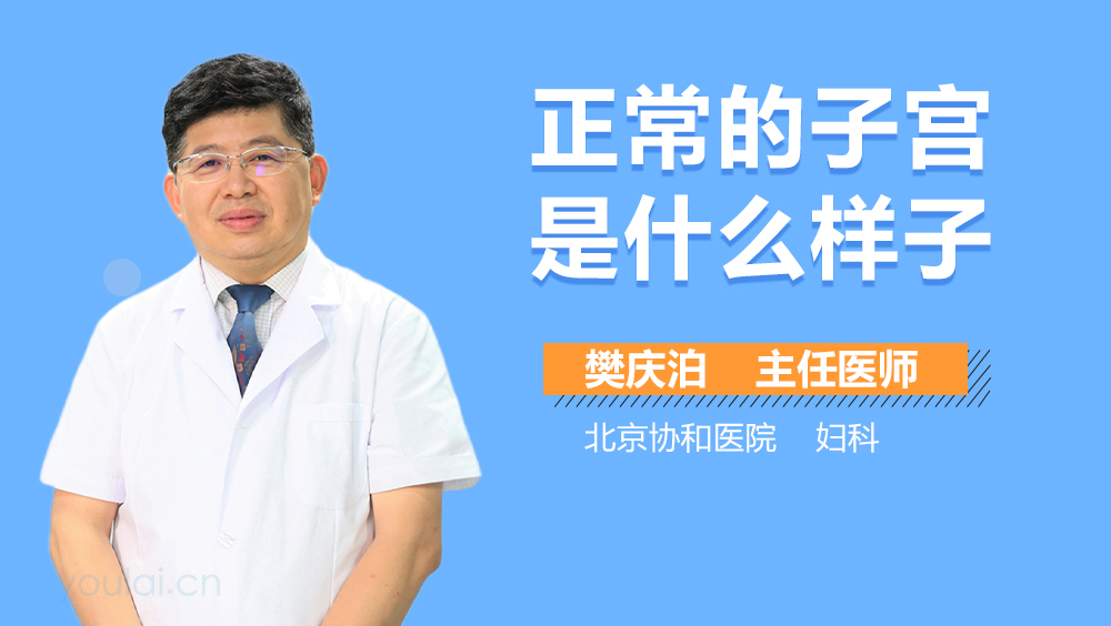 正常的子宫是什么样子
