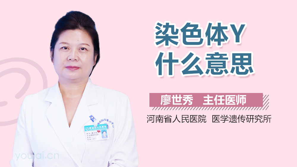 染色体Y什么意思