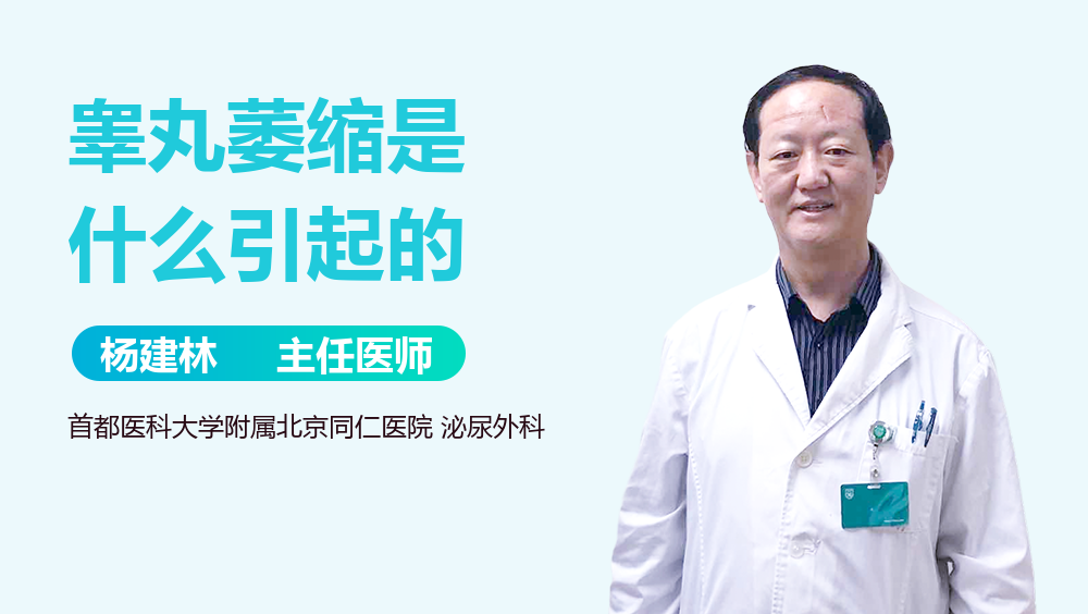 睾丸萎缩是什么引起的