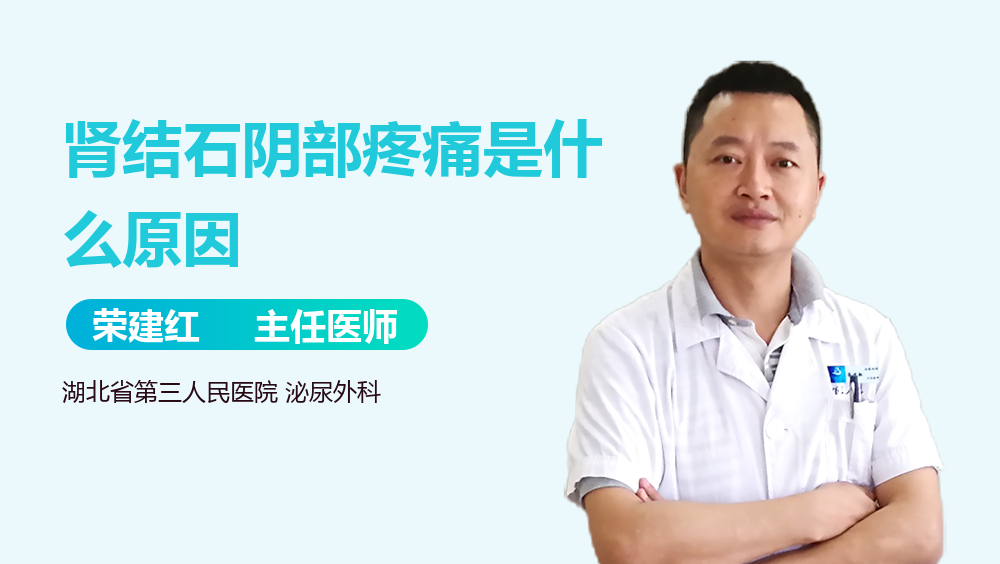 肾结石阴部疼痛是什么原因