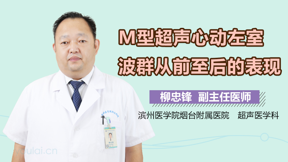 M型超声心动左室波群从前至后的表现