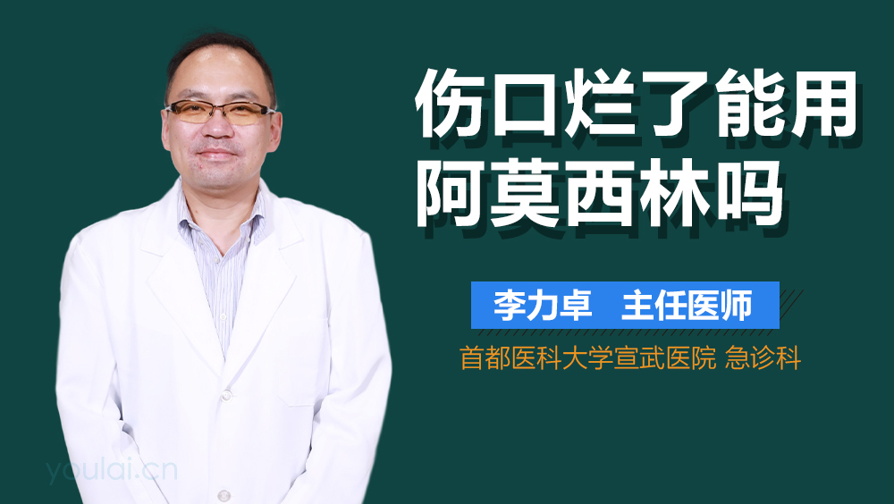 伤口烂了能用阿莫西林吗