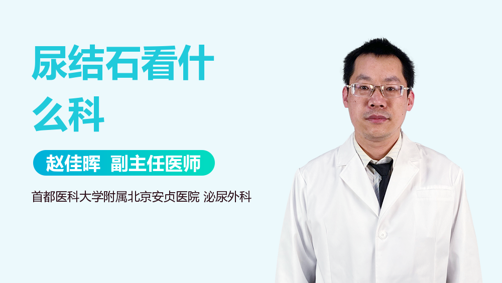 尿结石看什么科