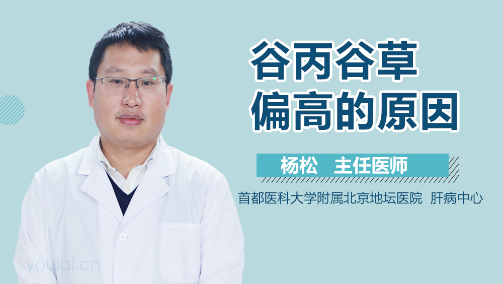 谷丙谷草偏高的原因