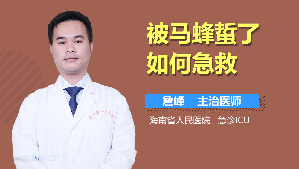 被马蜂蜇了如何急救