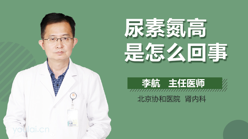 尿素氮高是怎么回事